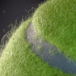 tennis_ball_HD_03